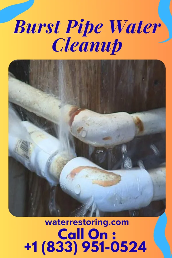 Burst Pipe Water Cleanup in Chief Lake, WI