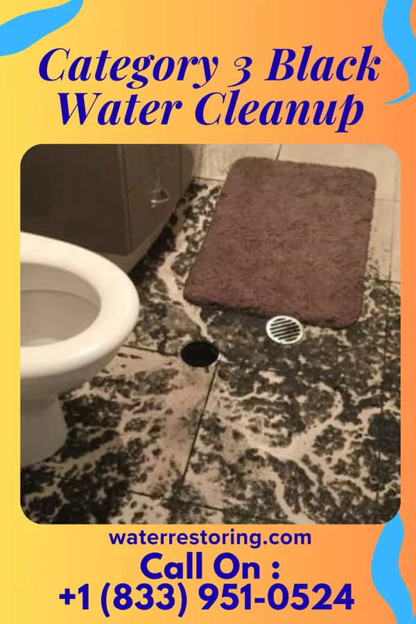 Category 3 Black Water Cleanup in Chief Lake, WI