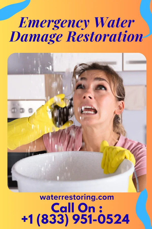 Emergency Water Damage Restoration in Chief Lake, WI