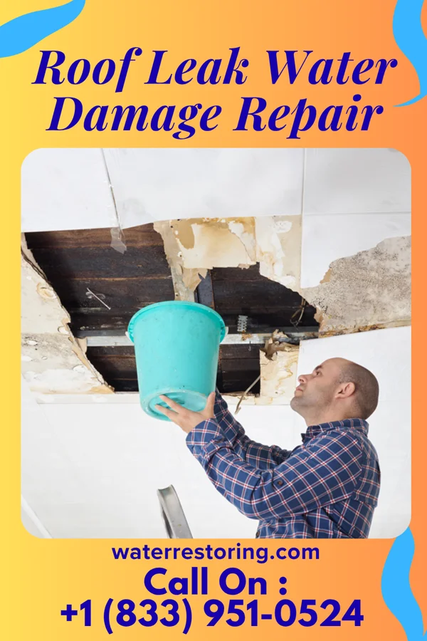 Roof Leak Water Damage Repair in Chief Lake, WI